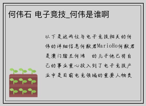 何伟石 电子竞技_何伟是谁啊