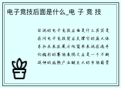 电子竞技后面是什么_电 子 竞 技